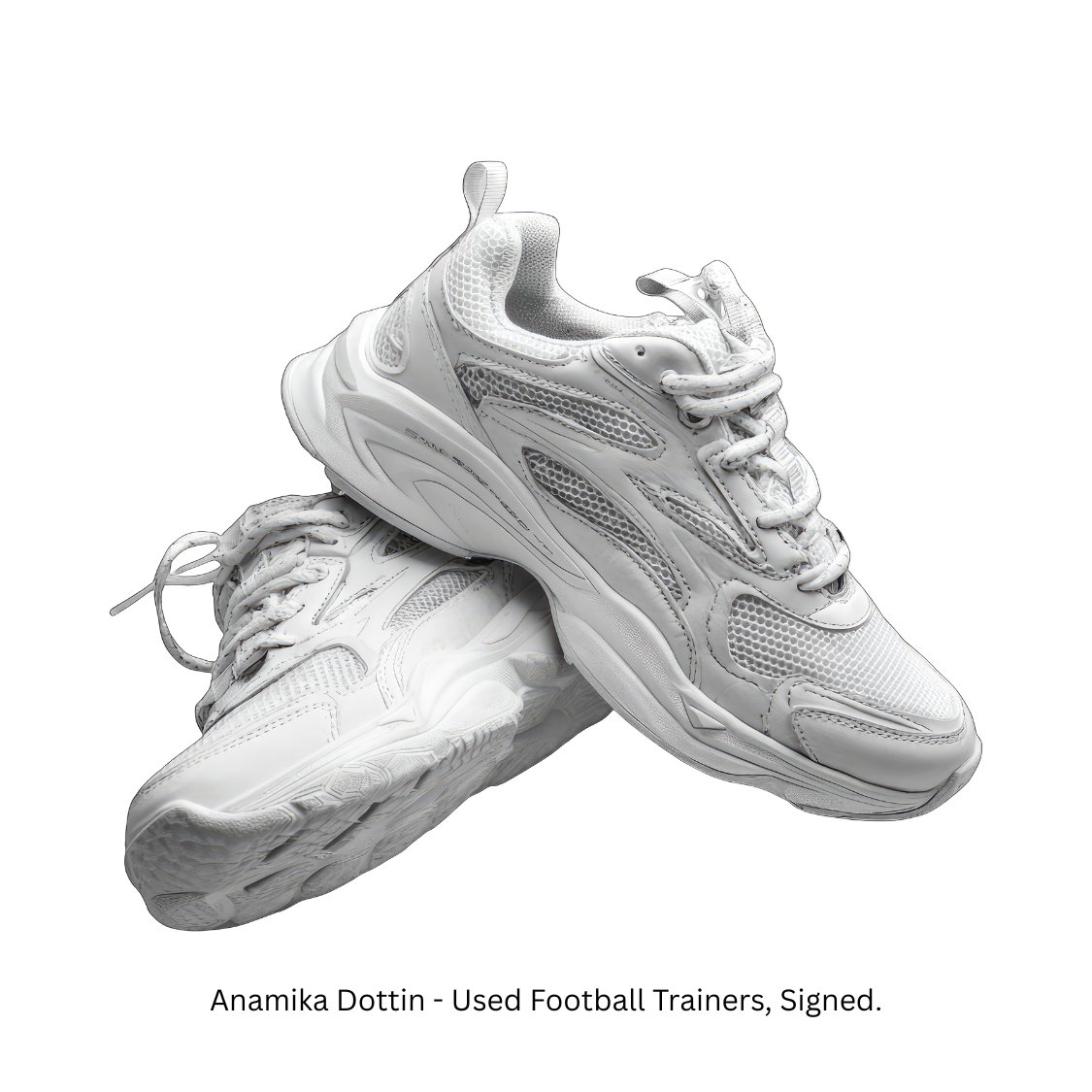 Anamika Dottins used football trainers &mdash; photo of trainers