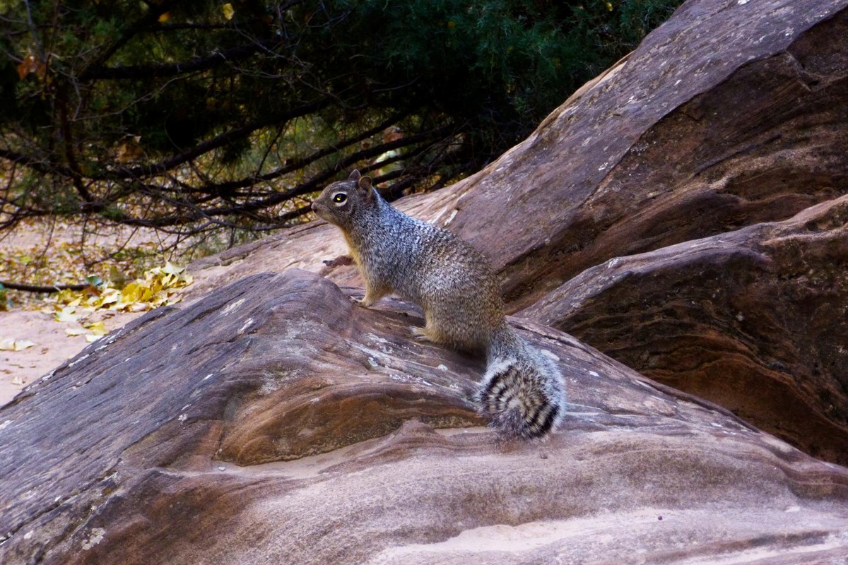 Kai Moreno in training