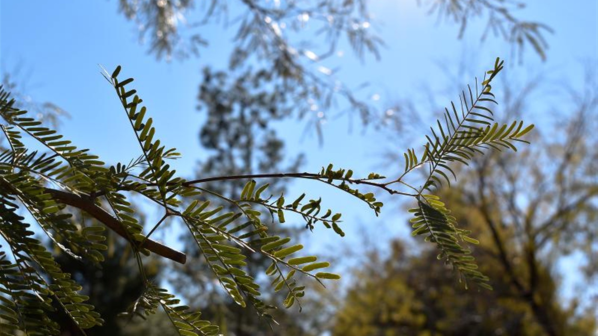 Kai Nakamura in action on the field