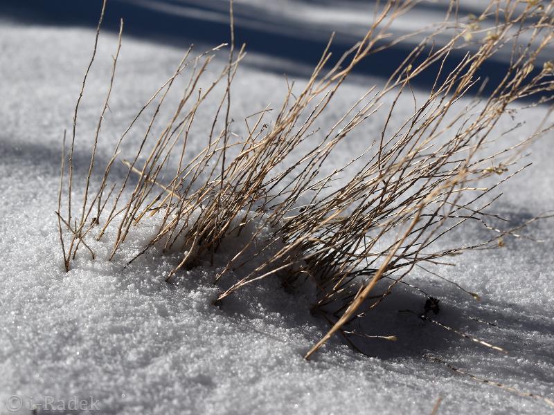 Kai Nakamura during youth development